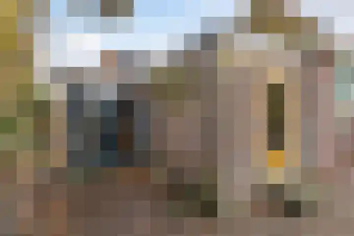 Skilpaed 3 Menaam thumbnail 16