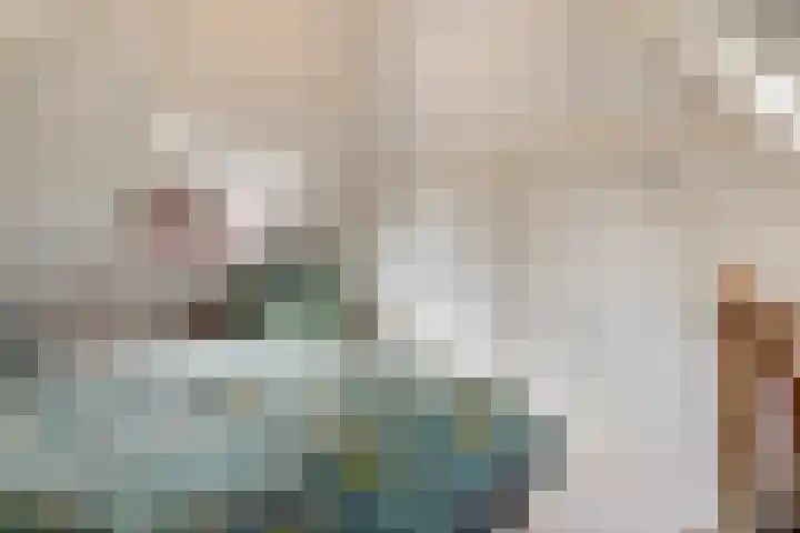 Skilpaed 3 Menaam thumbnail 20