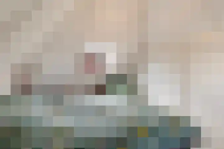 Skilpaed 3 Menaam thumbnail 21