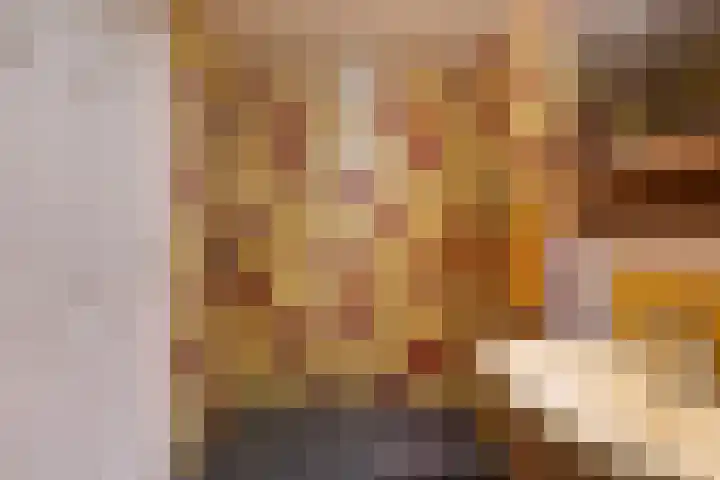 Skilpaed 3 Menaam thumbnail 23