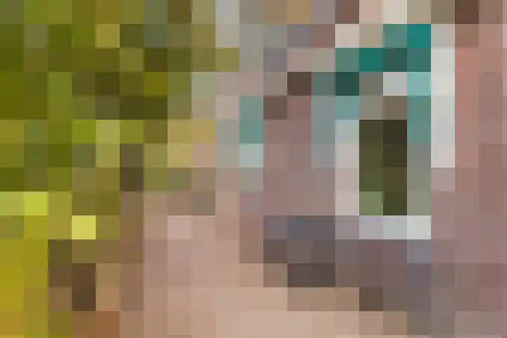 Skilpaed 3 Menaam thumbnail 29