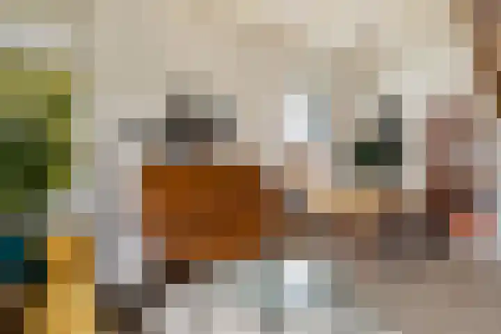 Skilpaed 3 Menaam thumbnail 5