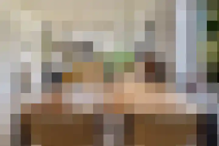 Skilpaed 3 Menaam thumbnail 7