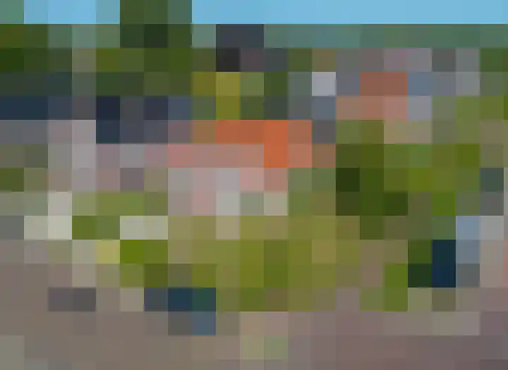 Skilpaed 9 Dronryp