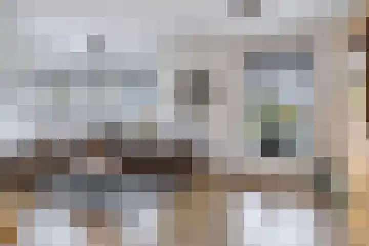 Skilwei 4 Stiens thumbnail 16