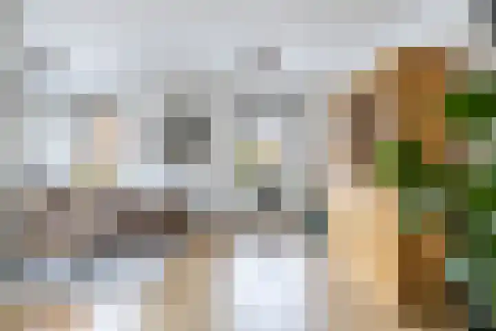 Skilwei 4 Stiens thumbnail 17