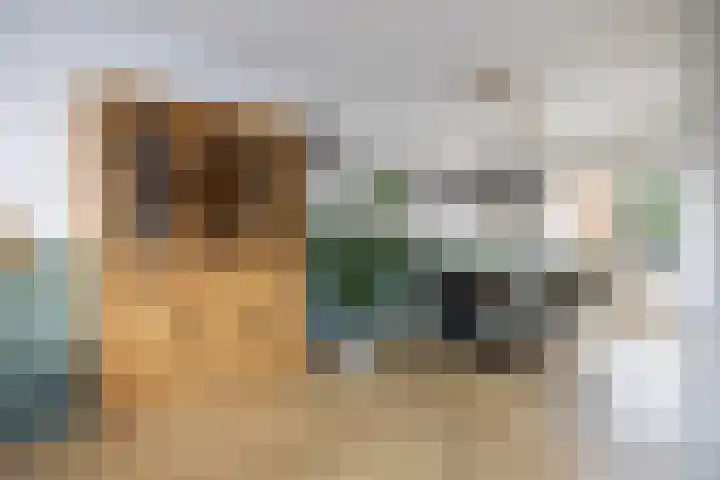 Skilwei 4 Stiens thumbnail 18