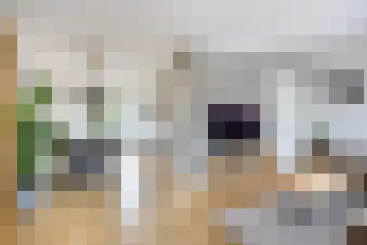 Skilwei 4 Stiens thumbnail 19