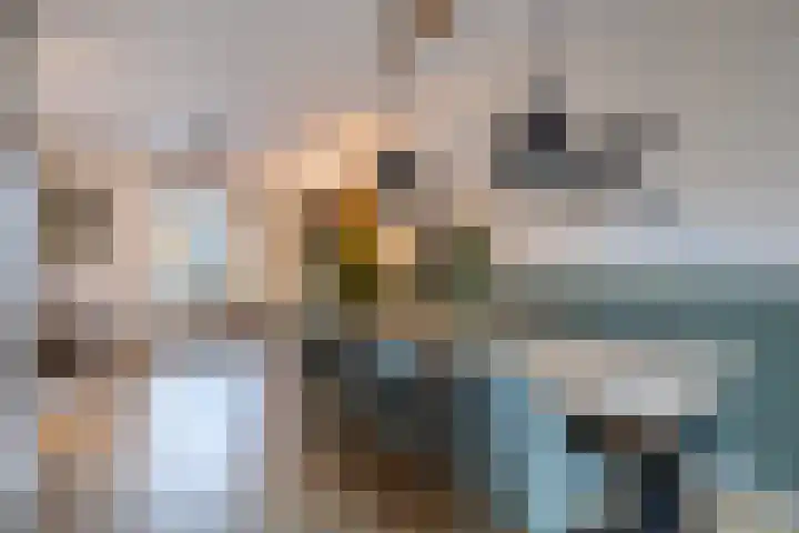 Skilwei 4 Stiens thumbnail 21