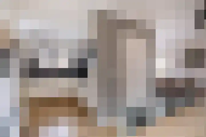 Skilwei 4 Stiens thumbnail 22