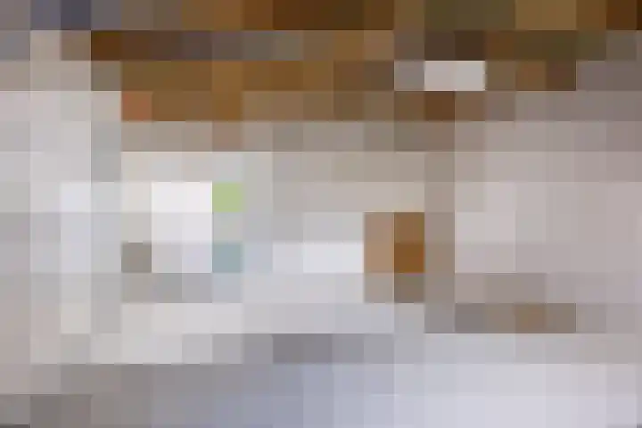 Skilwei 4 Stiens thumbnail 32