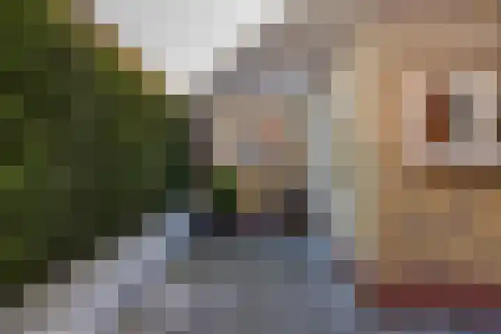 Skilwei 4 Stiens thumbnail 47