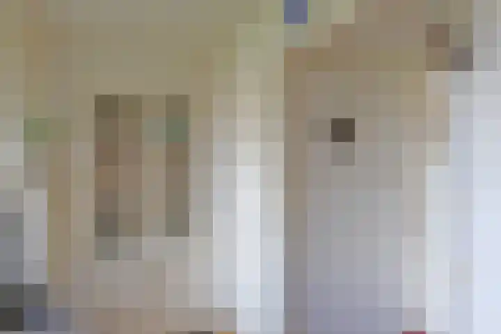 Skoalikkers 10 Augustinusga thumbnail 20