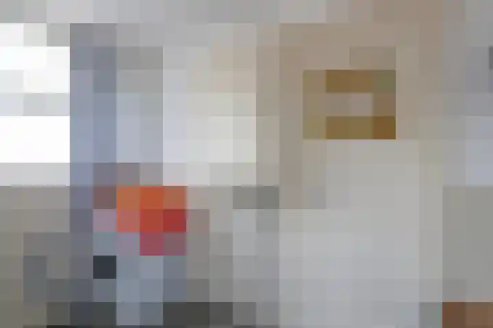 Skoalikkers 10 Augustinusga thumbnail 33