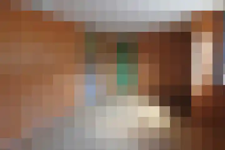 Skoalikkers 10 Augustinusga thumbnail 38