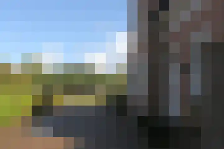 Skoalikkers 10 Augustinusga thumbnail 50
