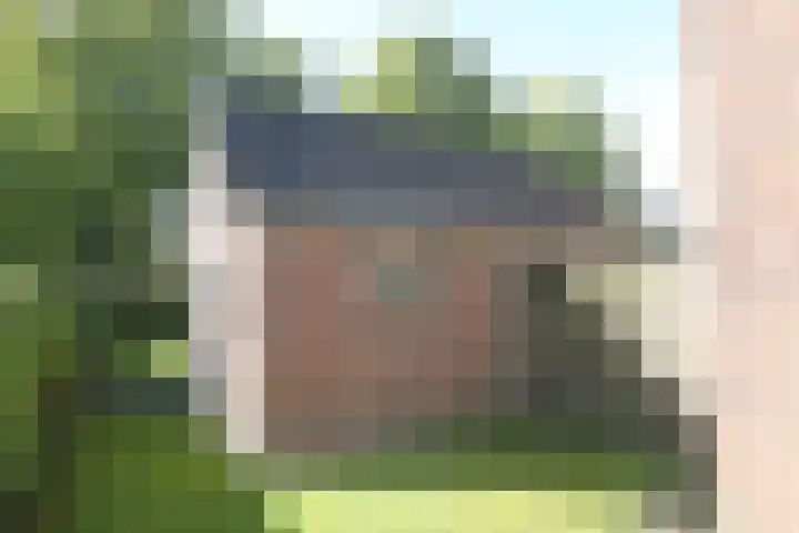 Skoalikkers 10 Augustinusga thumbnail 55