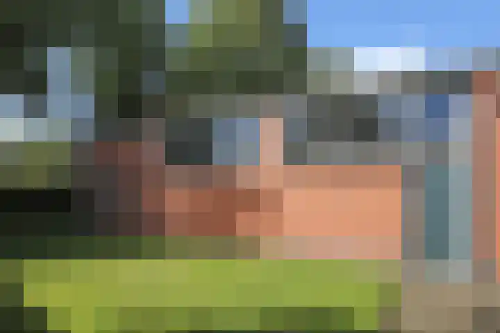 Skoalikkers 10 Augustinusga thumbnail 58