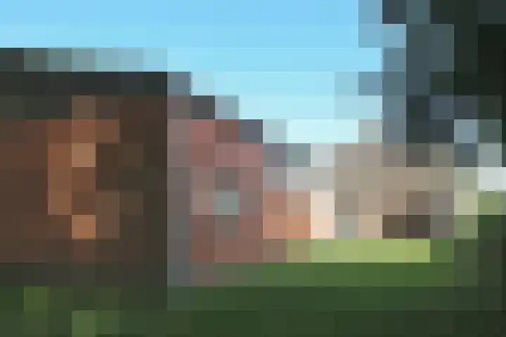 Skoalikkers 10 Augustinusga thumbnail 59