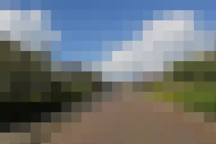 Skoalikkers 10 Augustinusga thumbnail 64