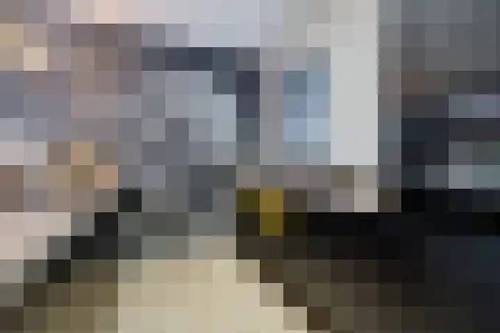 Skoalleane 51 Ureterp thumbnail 14
