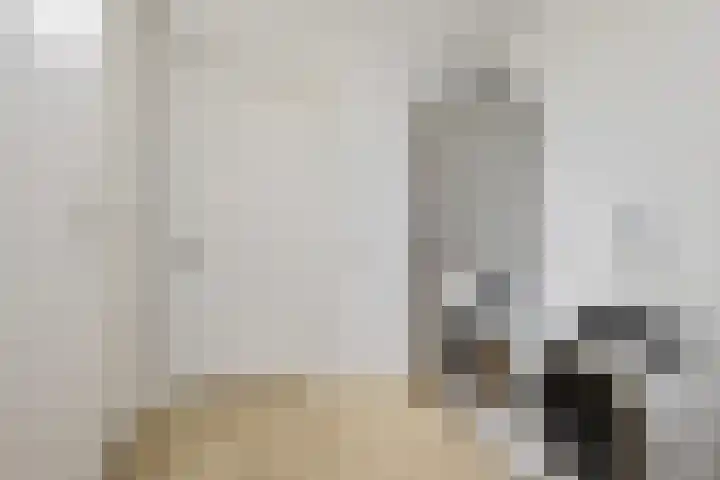 Skoalleane 51 Ureterp thumbnail 18