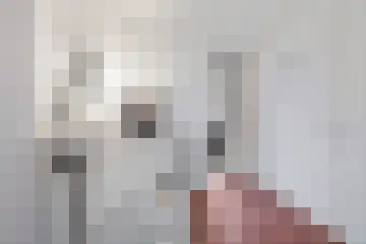Skoalleane 51 Ureterp thumbnail 26