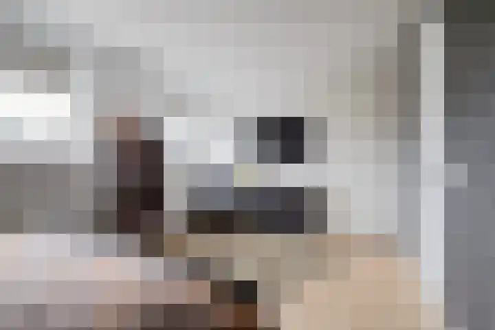 Skoalleane 51 Ureterp thumbnail 28
