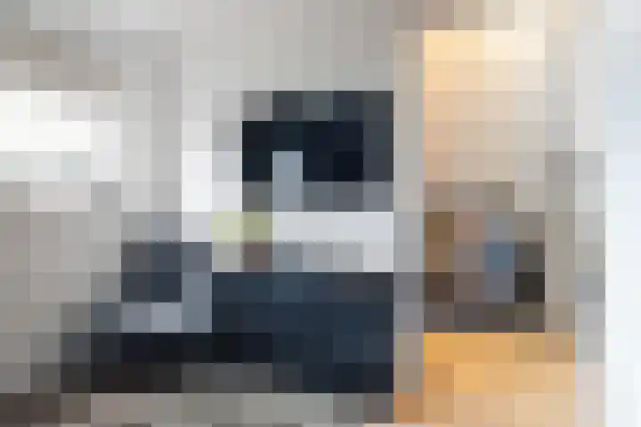 Skoalleane 51 Ureterp thumbnail 29