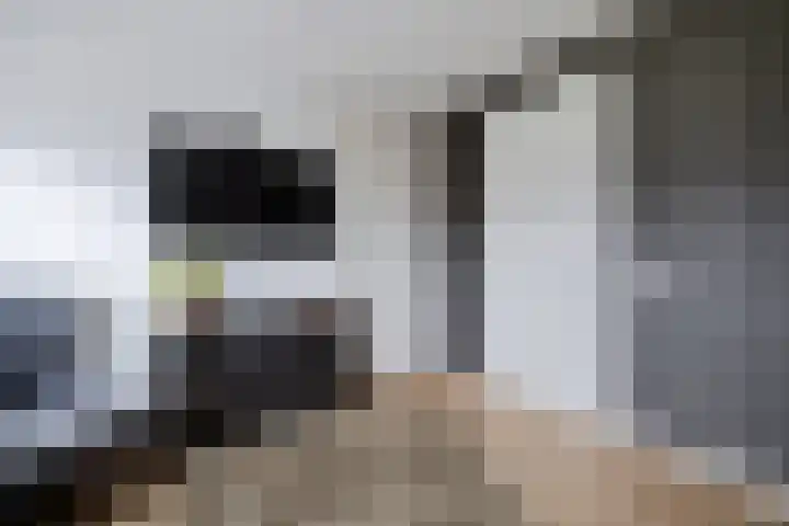 Skoalleane 51 Ureterp thumbnail 30