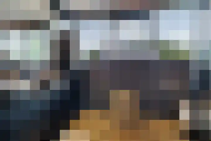 Skoalleane 51 Ureterp thumbnail 32