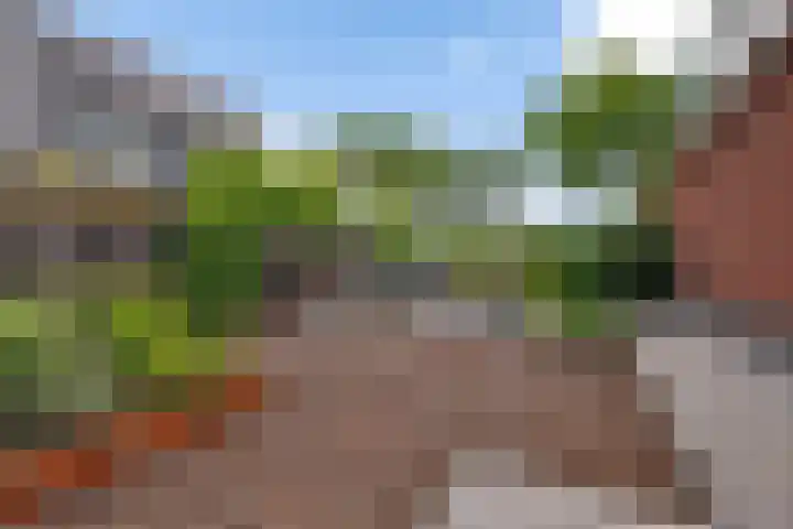 Skoalleane 51 Ureterp thumbnail 36