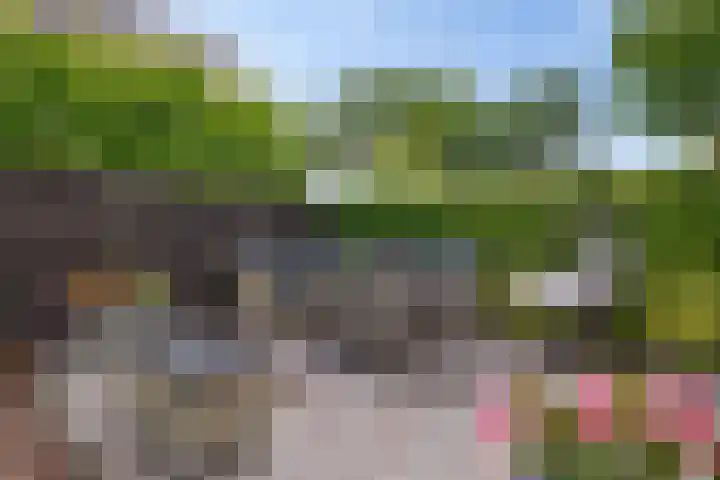 Skoalleane 51 Ureterp thumbnail 37
