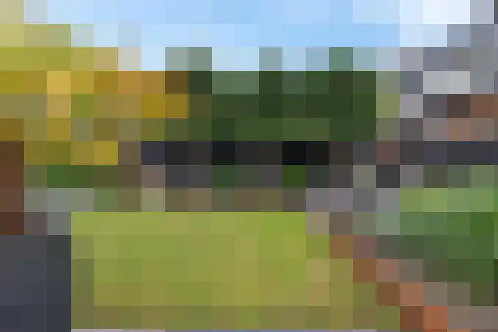 Skoalleane 51 Ureterp thumbnail 38