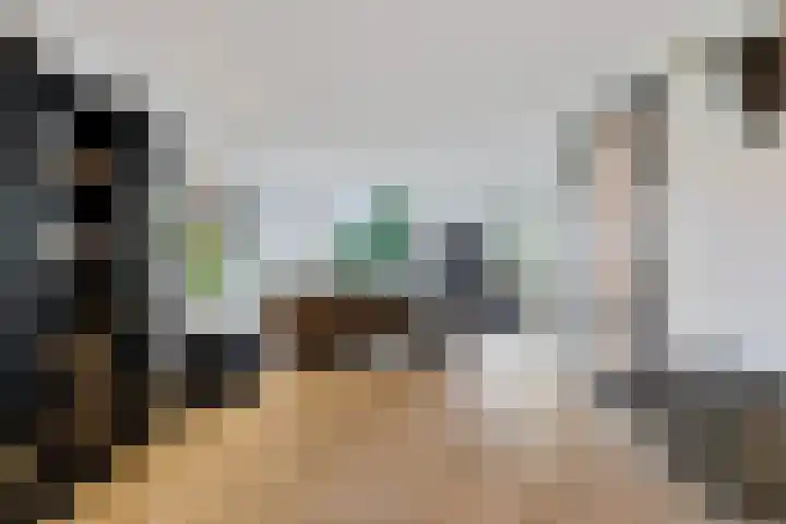 Skoalleane 51 Ureterp thumbnail 4