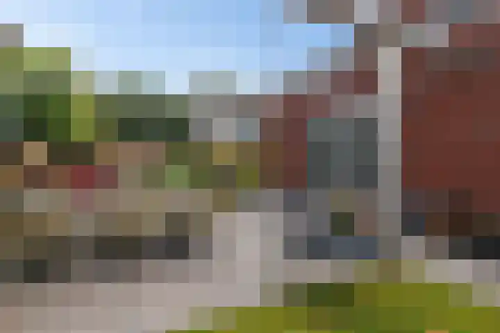 Skoalleane 51 Ureterp thumbnail 42