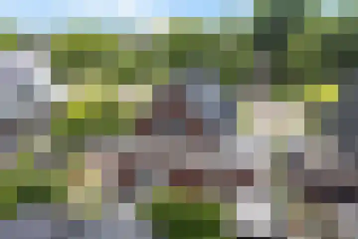 Skoalleane 51 Ureterp thumbnail 44