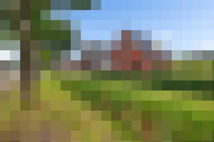 Skoalleane 51 Ureterp thumbnail 49