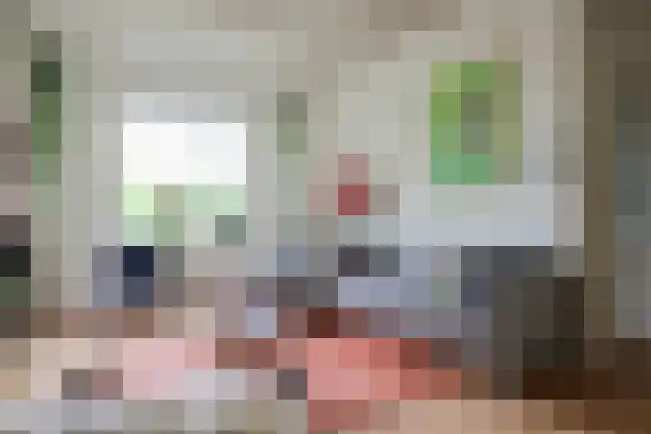 Skoalledyk 34 Hempens thumbnail 22