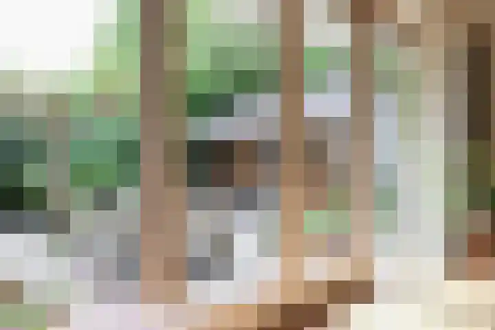 Skoalledyk 34 Hempens thumbnail 32