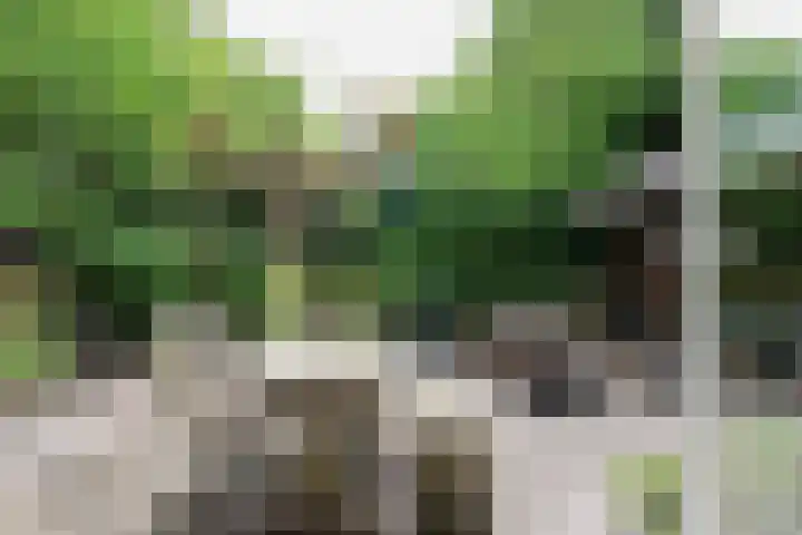 Skoalledyk 34 Hempens thumbnail 33