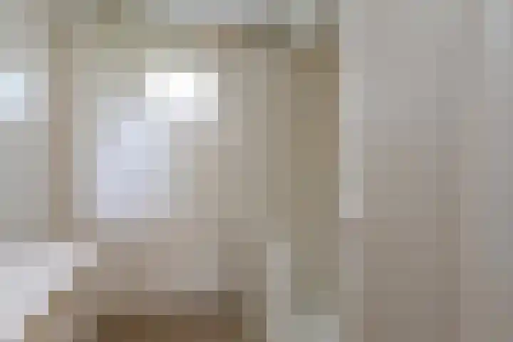 Skoalledyk 34 Hempens thumbnail 42