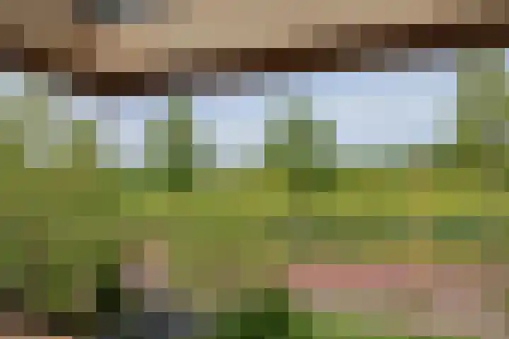 Skoalledyk 34 Hempens thumbnail 44