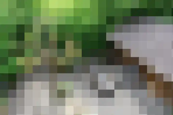 Skoalledyk 34 Hempens thumbnail 60