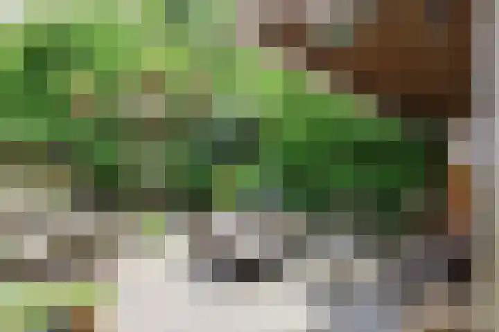 Skoalledyk 34 Hempens thumbnail 62