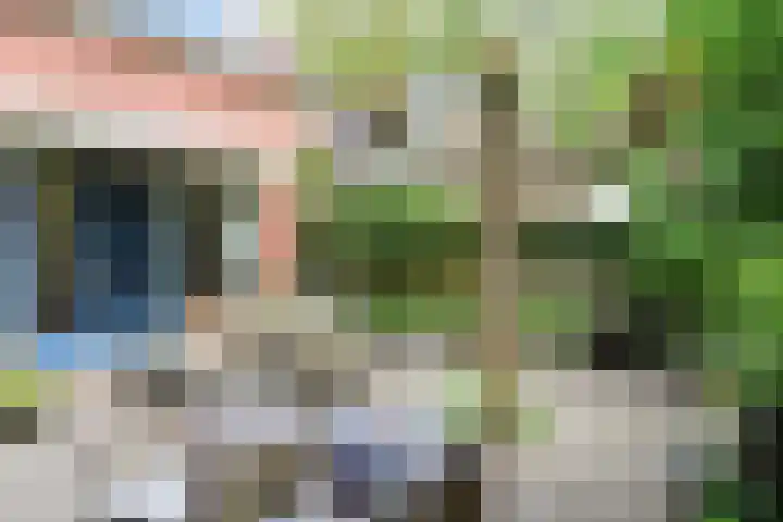 Skoalledyk 34 Hempens thumbnail 64
