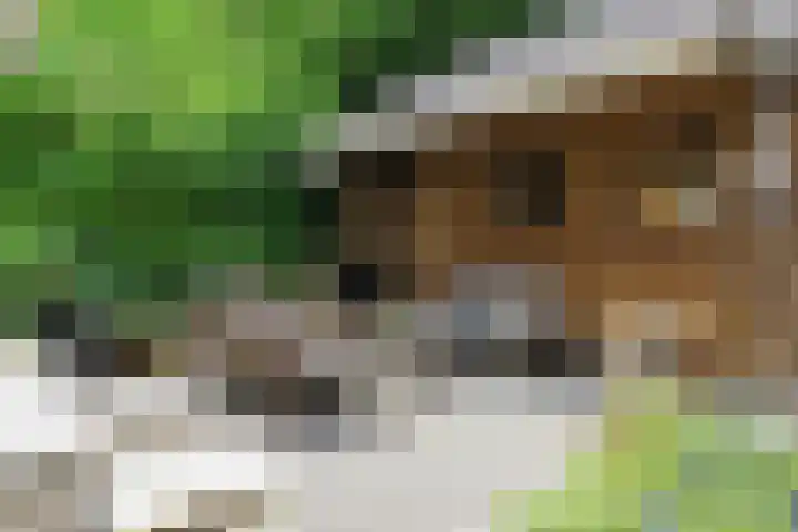 Skoalledyk 34 Hempens thumbnail 69