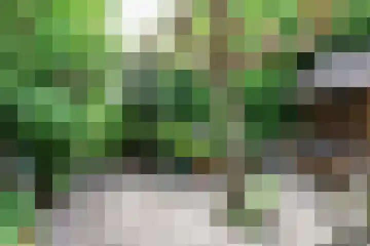 Skoalledyk 34 Hempens thumbnail 70