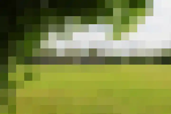 Skoalledyk 34 Hempens thumbnail 72