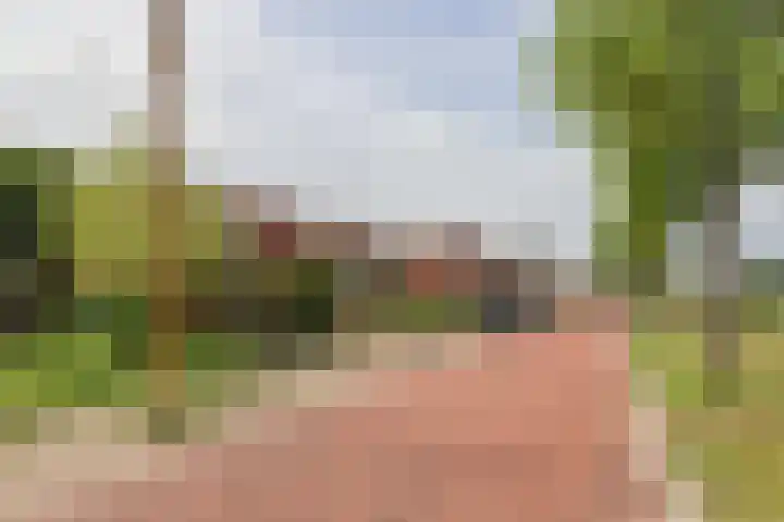 Skoalledyk 34 Hempens thumbnail 74